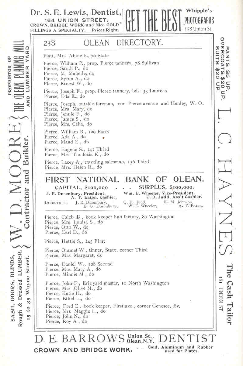Image of Page 238